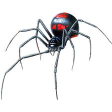 Great and scary 3d black widow. Awesome Black Widow Design For Men Tattoo Design