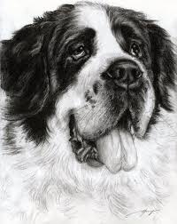 Black And White St Bernard Puppy Deviantart More Like Saint Bernard Sketch By Nitendae St Bernard Dogs Canine Art Dog Art