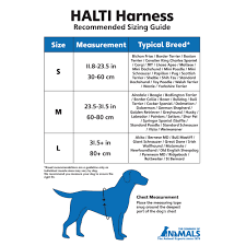 Measure a few inches down from their head and then add two inches. Harnesses Reflective Large Pet Collar Leash Rope Harness Dog Labrador Husky Collie Bulldog Dog Supplies