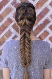 Pull Through Fishtail Braid Combo Hair Styles Long Hair Styles Thick Hair Styles