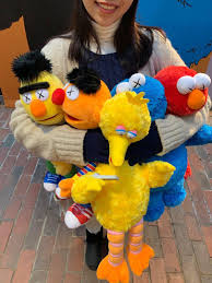 Maybe you would like to learn more about one of these? Limited Edition Uniqlo Kaws X Sesame Street Plush Toys Full Set Elmo Cookie Monster Big Bird Bernie Ernie Hobbies Toys Toys Games On Carousell