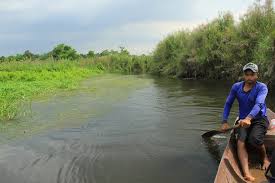 Berkunjung ke danau rawa saat akhir pekan dapat menjadi destinasi yang bisa anda kunjungi selanjutnya. Melihat Cagar Alam Rawa Danau Hutan Air Tawar Terbesar Di Jawa Indonesia Kaya