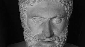 Image result for Cleistachne