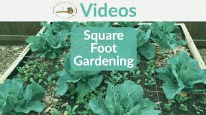 Maybe you would like to learn more about one of these? Video How We Use Square Foot Gardening To Maximize Planting Space In Our Backyard Urban Vegetable Garden From Seed To Spoon Vegetable Garden Planner Mobile App