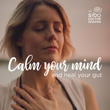 Chiropractic care for anxiety, stress, and gastro issues?