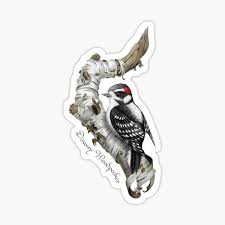 Woody woodpecker is another one of those legendary and highly beloved animated cartoon characters, that will surely remain in our hearts and minds forever. Woodpecker Gifts Merchandise Redbubble