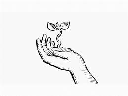 Check spelling or type a new query. Seedling Growing On Palm Of Hand Drawing Time Lapse 2d Animation By Retro Vectors Limited On Dribbble