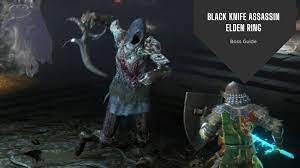 Black Knife Assassin Elden Ring: Location & Tips - VeryAli Gaming