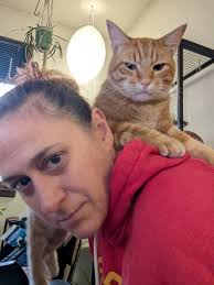 Lost cat in Kenwood area?