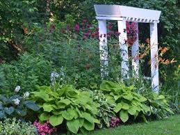 Does your shade garden need some extra summer color? Best Plants For Clay Soil
