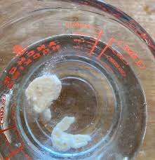 Patti Bemis (pattibemis)