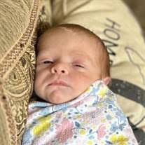 Saige Breeze Norwood Obituary and Online Memorial (2024)