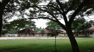 Hak saya adalah mendapatkan lingkungan sekolah yang mendukung proses belajar mengajar. Lingkungan Sekolah Yang Hijau Dan Asri Steemit