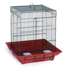 Bird Cage Seed Guard Plastic Tucker Murphy Pet Borum Cockatiel Bird Cage Color Red Black Cockatiel Cage Bird Cage Small Bird Cage