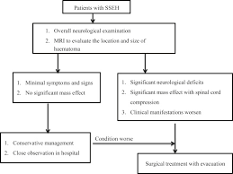 Spontaneous Spinal Epidural Haematoma Sciencedirect