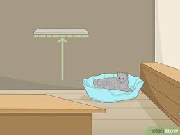 Staple it on the sides if possible, but if you have to use strips and staple the top, make sure the top staples are all the way into the wood so nothing is. How To Set Up Cat Shelves 14 Steps With Pictures Wikihow