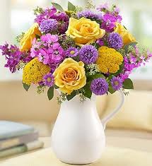 We did not find results for: Make Her Day Bouquet Yellow Roses Stock Yarrow Monte Casino Asters And More Comes In A White Ceramic Mothers Day Flowers Colorful Flowers Flower Delivery