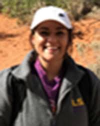 Palynology and organic petrography of the Tyler Formation (lower  Pennsylvanian), Williston Basin, North Dakota, USA