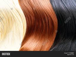 Trying to decide what hair color to pick when you decide to dye your hair can be very tricky. Hair Colors Palette Image Photo Free Trial Bigstock