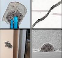 Amazon.com: Yeory Rodent Mesh, 20ft Wire Mesh Rodent Proof ...
