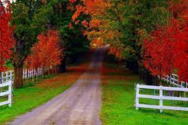 Full Hd 1080p Natureza Wallpapers Desktop Backgrounds Hd Fotos New Nature Wallpaper Scenery Wallpaper Hd Nature Wallpapers