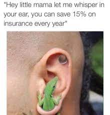 Whisper Lizard Know Your Meme