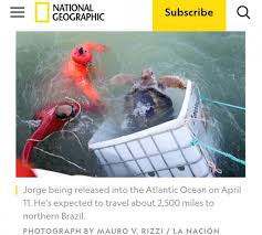 Alycia demarco gdp first of all, as other reviews state,