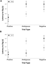 Parker rooney is one of the main characters in the disney channel original comedy series liv & maddie. Cancer Blues A Validated Judgment Bias Task Suggests Pessimism In Nude Mice With Tumors Biorxiv