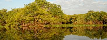 Seis Humedales Colombianos De Importancia Mundial Interamerican Association For Environmental Defense Aida