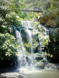 Bienvenue A La Cascade La Plus Secrete De Marseille Aux Aygalades Marseille Visiter Marseille Les Plus Beaux Paysages Les Cascades
