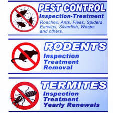 Pest control katy texas usa rapid response animal solutions inc life after bugs pest control and exterminator nature's own pest & lawn services life after bugs ants, Swat Team Pest Control Katy Texas Facebook