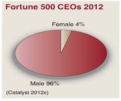 pie chart women ceos in fortune 500 colorado womens