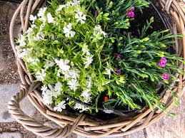 Just turn on the faucet to water all plants at once. Watering System For Balconies And Patios Evehome Com