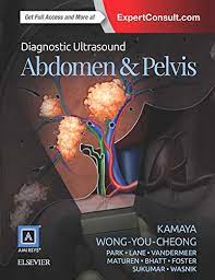Buy Diagnostic Ultrasound Abdomen And Pelvis Book Online At Low Prices In India Diagnostic Ultrasound Abdomen And Pelvis Reviews Ratings Amazon In