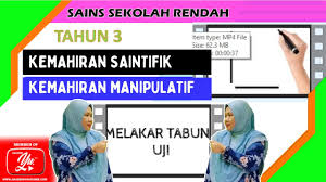 Kemahiran saintifik buat pemerhatian tentang buah betik dan lengkapkan jadual di bawah. Sains Tahun 3 L Kemahiran Manipulatif Arviaclass Online Learning Malaysia
