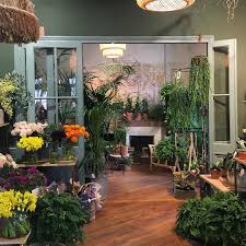 Epingle Sur Plantes Urbanjungle