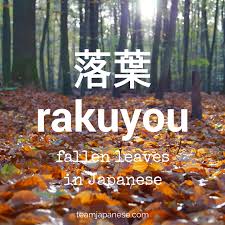 9 Beautiful Japanese Seasonal Words For Autumn Japanese Words Japanese Phrases Japanese Quotes
