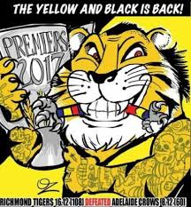 Pin By Andrea Mohamad On Richmond Tigers Afl Vfl Richmond Football Club School Book Covers Kelly S Heroes