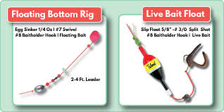 A floating line is lightweight and floats on the surface of the water when it is cast. How To Fish For Trout In A Lake Reservoir Or Pond