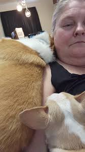 Where is that silly pig??? Its 80 degrees f. . What a weirdo.