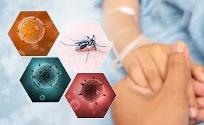I 'm fine dengue : Read About Dengue Fever Causing Mosquito Goodknight