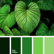 Color Palette 2454 Green Colour Palette Monochromatic Color Scheme Color Palette