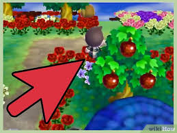 Maybe you would like to learn more about one of these? How To Grow Flowers In Animal Crossing New Leaf 4 Steps