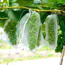 Your plastic net grape stock images are ready. Agriculture Fruit Net Protection Bag Grape Anti Insect Mesh Netting Buy Nylon Mesh Net Bag Nylon Mesh Netting Nylon Net Product On Alibaba Com