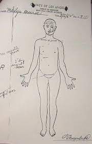 Like endofnumbers at www.facebook.com/endofnumbers1subscribe to endofnumbers here on youtube! Marilyn Monroe Autopsy Report Body Sketches Von Marilyn Monroe Hand Signed 1962 First Edition First Printing The Will Is Signed By Marilyn Manuskript Nbsp Nbsp Papierantiquitat Modern First Printings