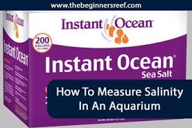 How To Measure Salinity In An Aquarium The Beginners Reef