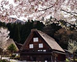 白川郷（岐阜県）の画像