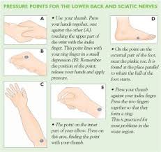 Pin On Sciatic Nerve