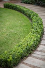 Anoushka Feiler Garden Designer Garden Hedges Boxwood Landscaping Walkway Landscaping