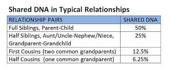 That's about 25% of your dna. Predicted Percentages Of Shared Dna For Dna Tests Of Half Siblings Genealogy Family History Stack Exchange